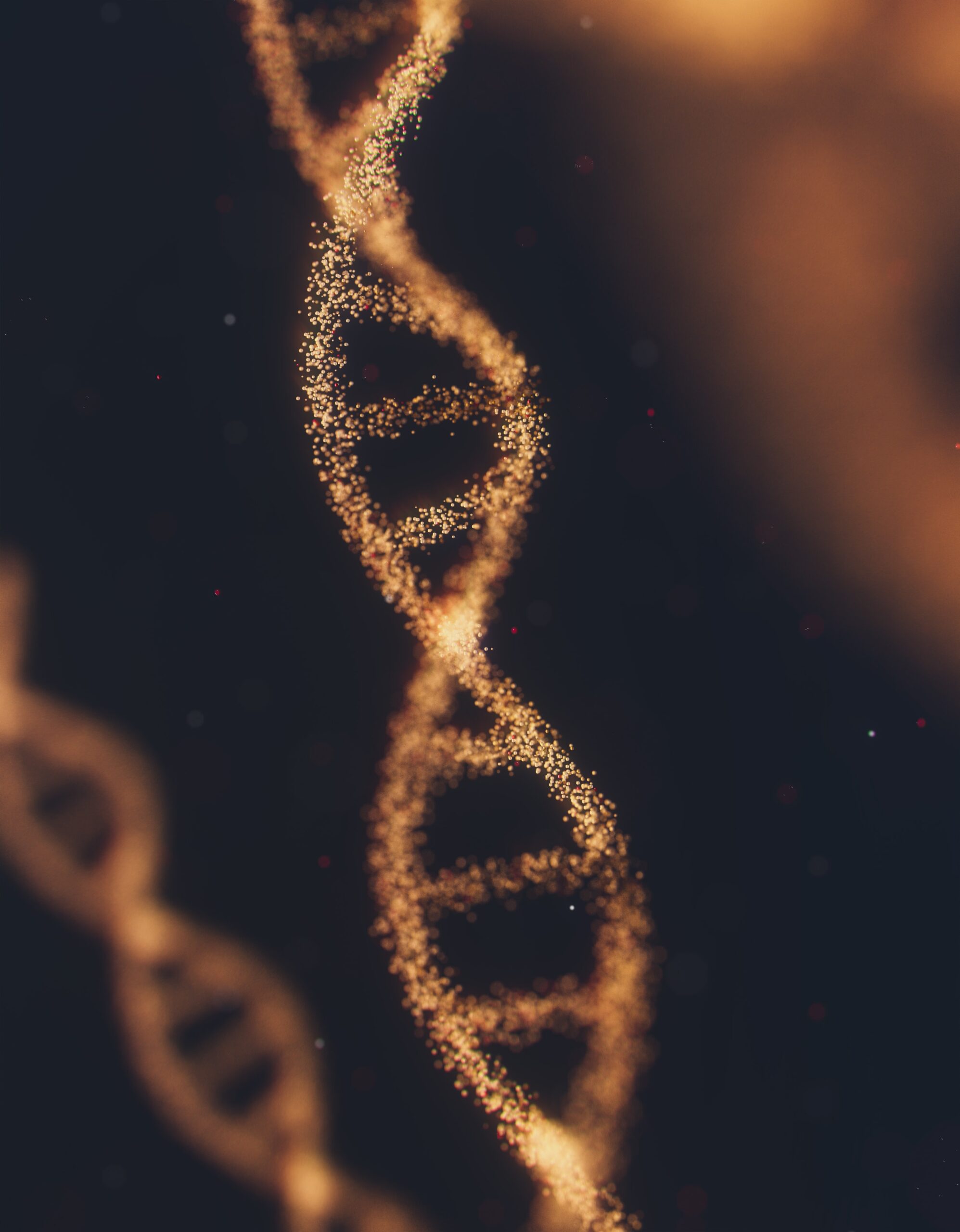 Structure Of DNA